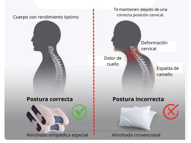 Encabezado