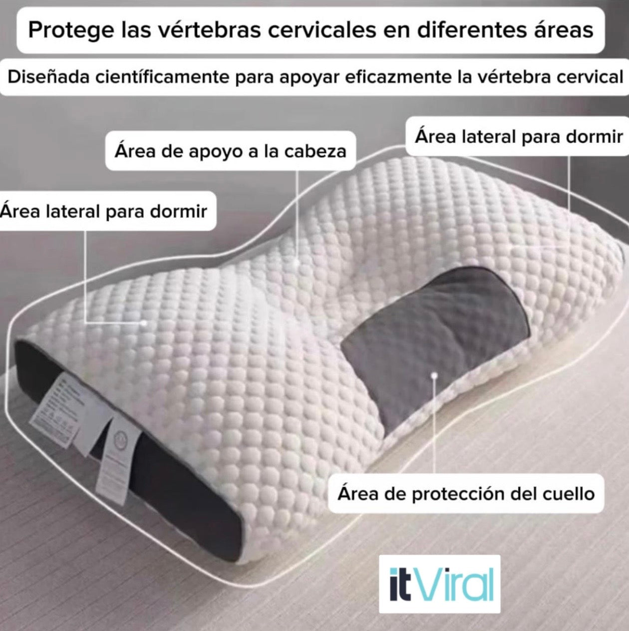 Encabezado