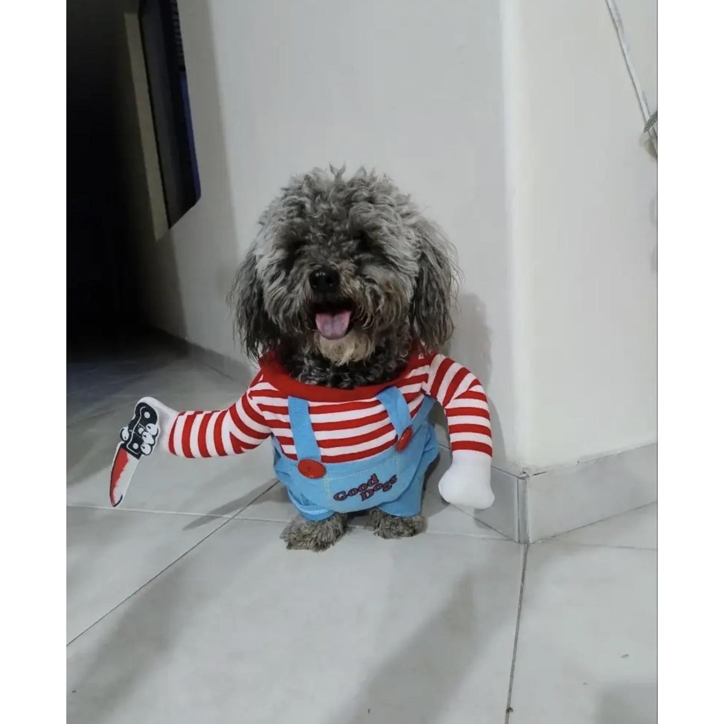 Disfraz Mascotas Chucky Halloween