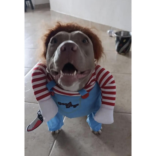 Disfraz Mascotas Chucky Halloween