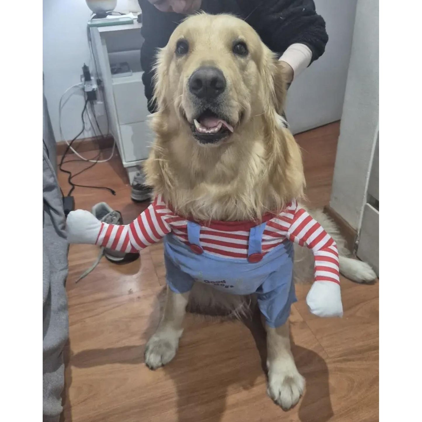 Disfraz Mascotas Chucky Halloween