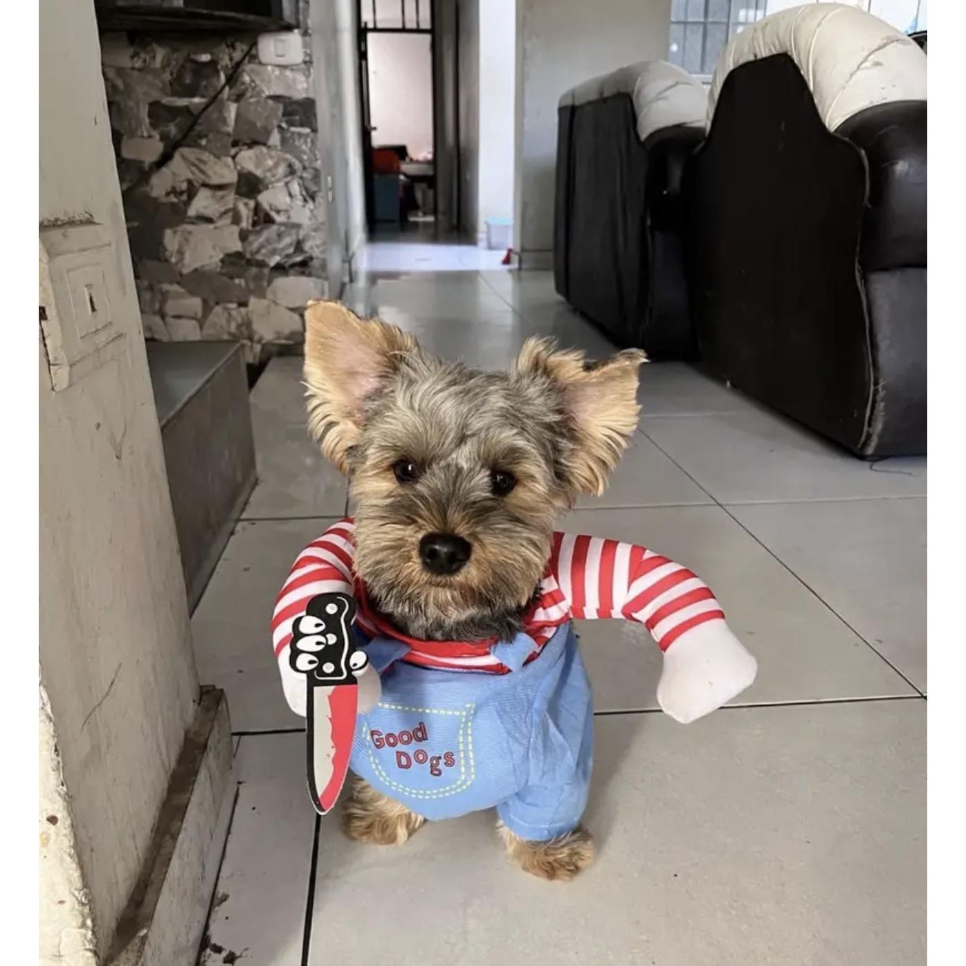 Disfraz Mascotas Chucky Halloween